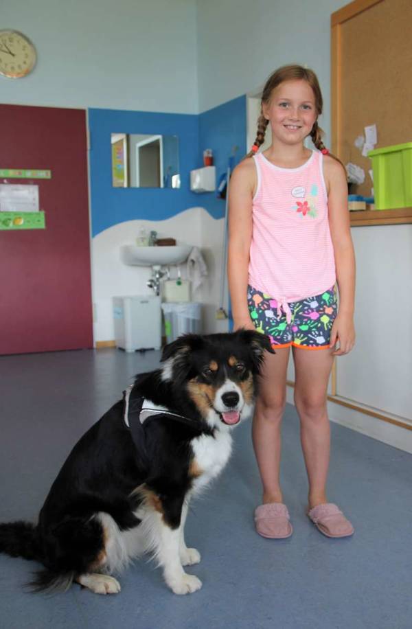 Schulhund im Einsatz Schulhund im Einsatz
